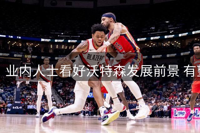 业内人士看好沃特森发展前景 有望成为冠军拼图